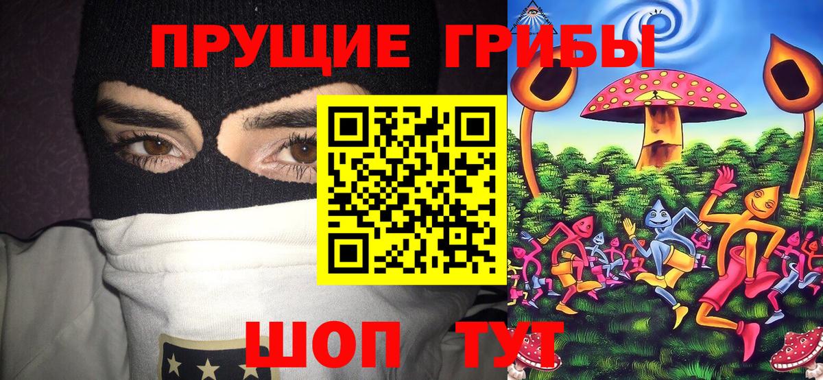 наркота  Псилоцибиновые грибы Magic Shrooms  Вход с VPN  Новотроицк 