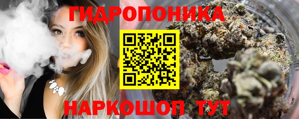 Канабис сатива Новотроицк